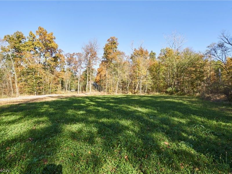 6697 Boneta Road, Medina, OH 44256 Photo 2