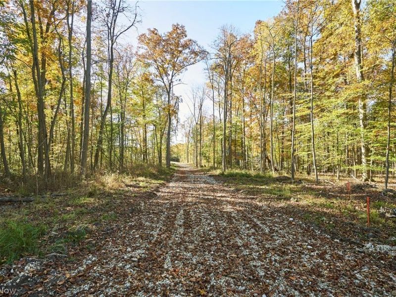 6697 Boneta Road, Medina, OH 44256 Photo 5