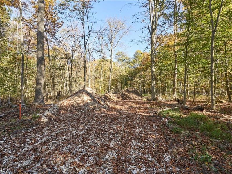 6697 Boneta Road, Medina, OH 44256 Photo 6