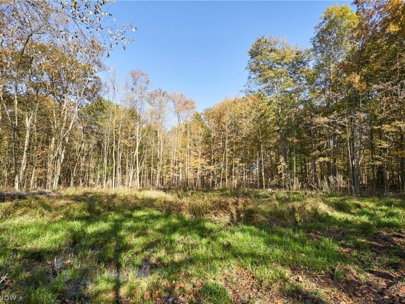 6697 Boneta Road, Medina, OH 44256 Photo 8