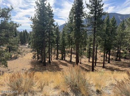 191 Duane Bliss Way, Lot #43, Carson City, NV 89705 Photo