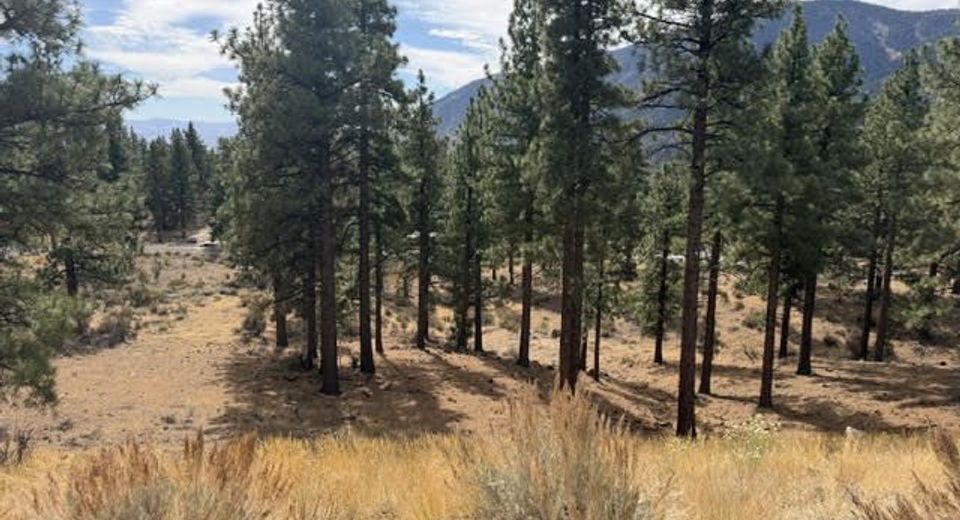 191 Duane Bliss Way, Lot #43, Carson City, NV 89705 Photo
