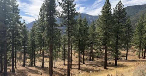 191 Duane Bliss Way, Lot #43, Carson City, NV 89705 Photo