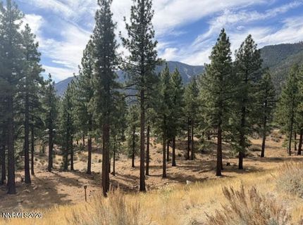 191 Duane Bliss Way, Lot #43, Carson City, NV 89705 Photo