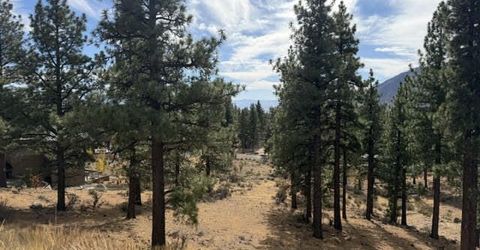 191 Duane Bliss Way, Lot #43, Carson City, NV 89705 Photo