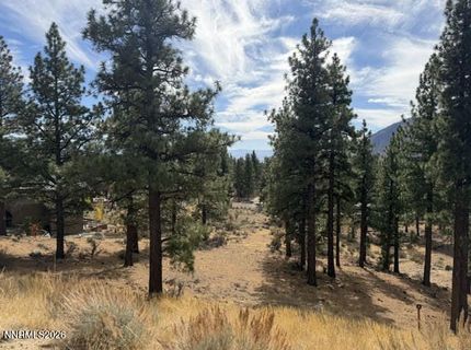 191 Duane Bliss Way, Lot #43, Carson City, NV 89705 Photo