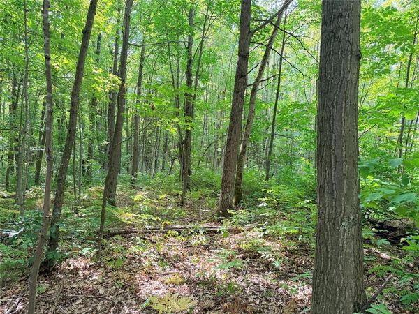 Lot 2 County Highway X, Glen Flora, WI 54526