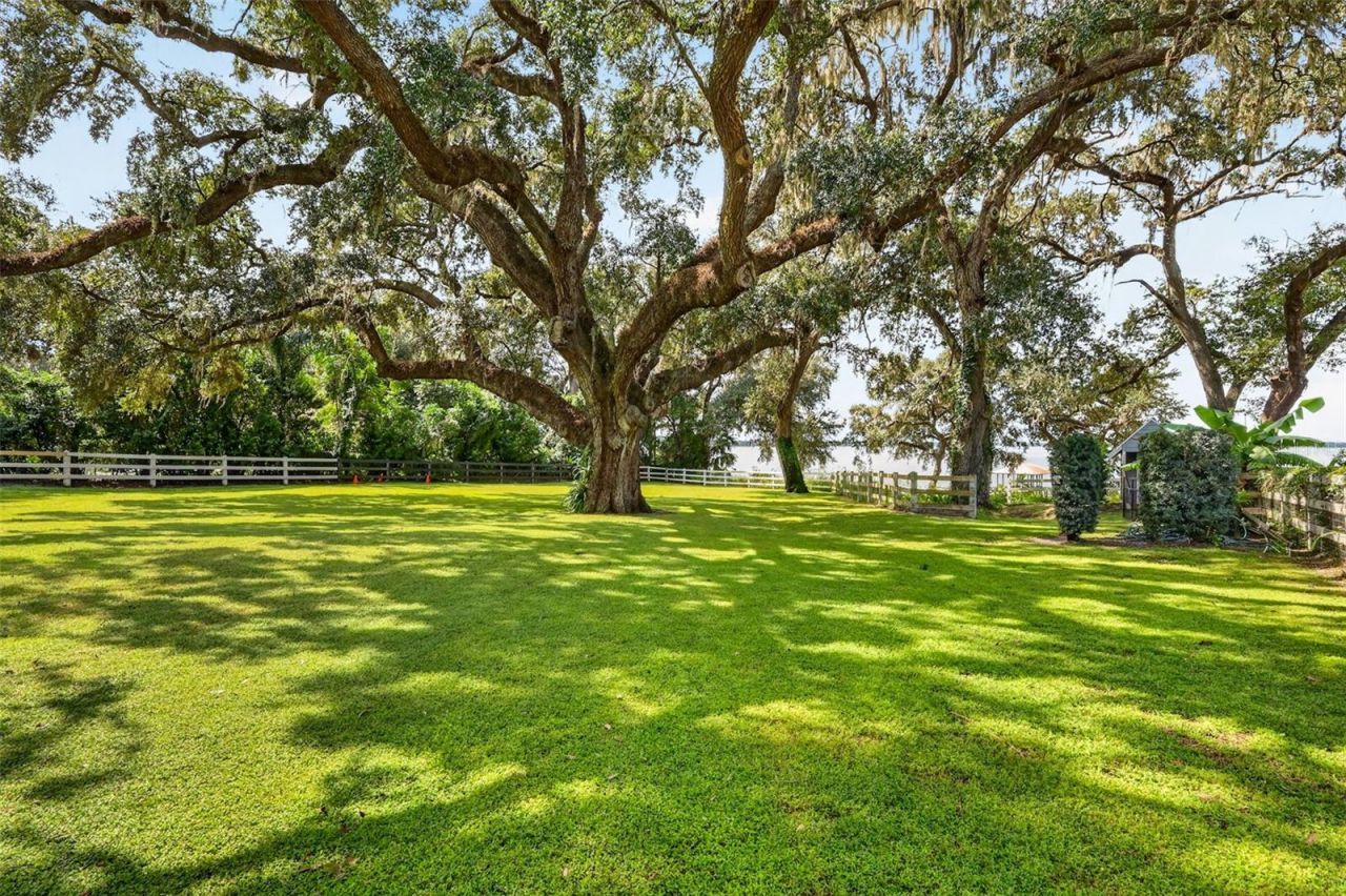 15050 SE 140th Avenue Road, Weirsdale, FL 32195 Photo