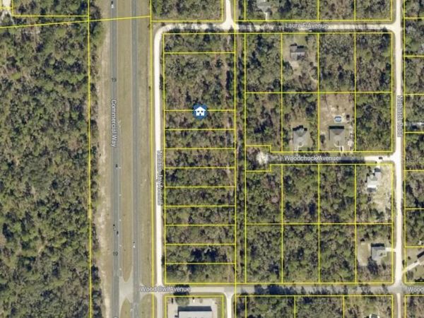 LOT 5 NICASIO JAY AVENUE , WEEKI WACHEE, FL 34614