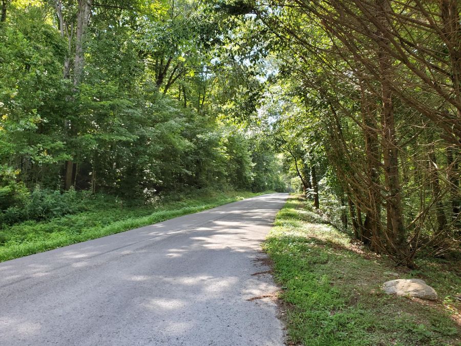 Property Image 18