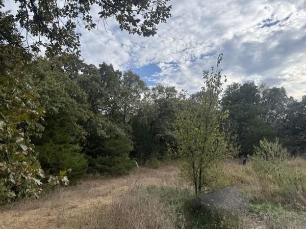 43819 Avoca Road, Asher, OK 74826