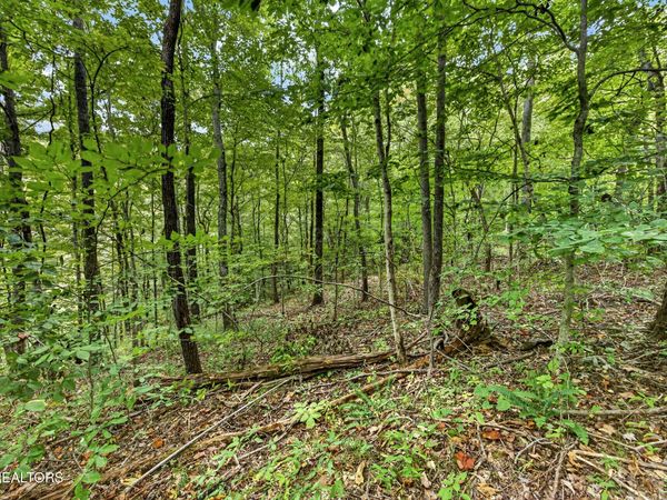 Lot 25&26 Timber Ridge Lane , Celina, TN 38551