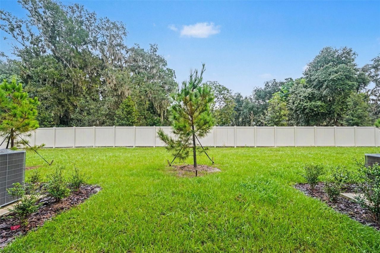 3332 Lapis Lake Drive, Zephyrhills, FL 33541 Photo