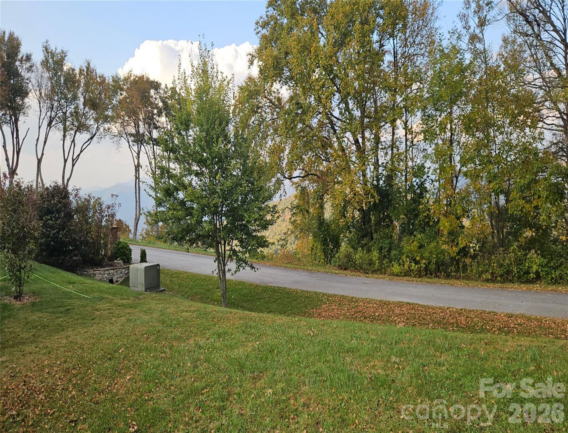 56 N Snow Ridge Drive, Hendersonville, NC 28792 Main Photo