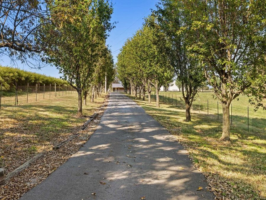 Property Image 59