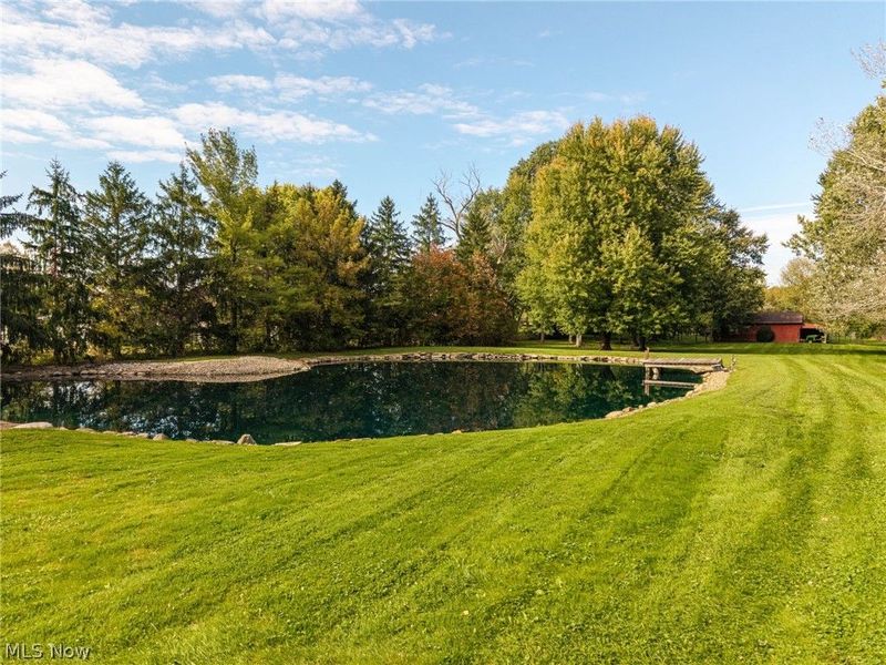 5995 Buffham Road, Seville, OH 44273 Photo 28