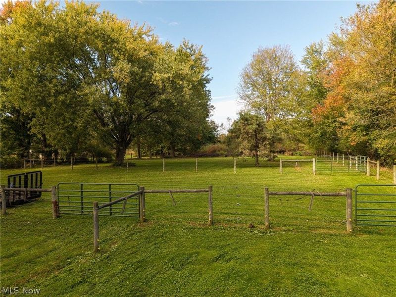 5995 Buffham Road, Seville, OH 44273 Photo 34