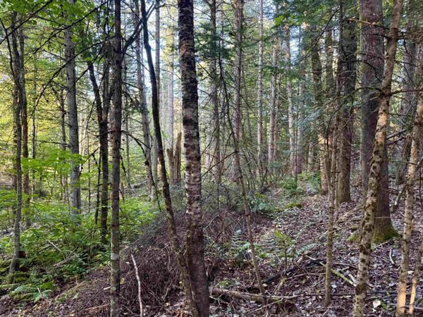 Lot 6 Jennings Road, Colebrook, NH 03576