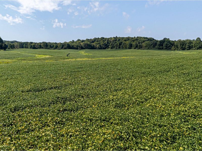 5 acres Dutch Lane Road NW, Newark, OH 43055 Photo 10
