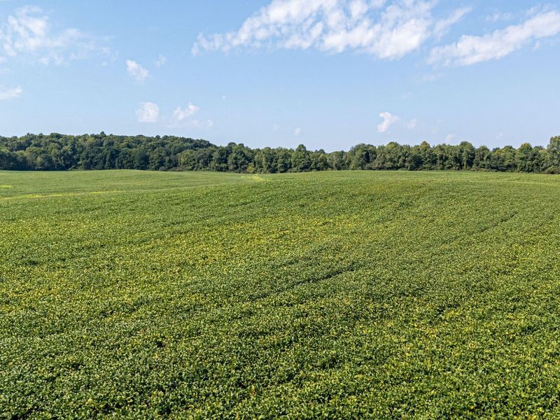 5 acres Dutch Lane Road NW, Newark, OH 43055 Photo 17