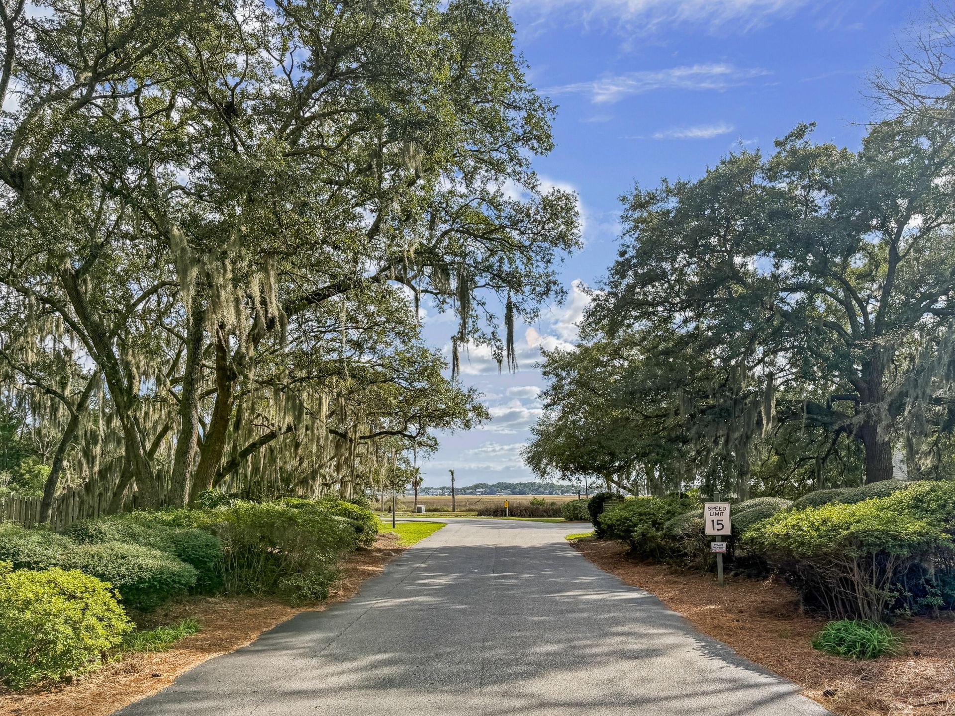 127 River Breeze Drive Photo 47