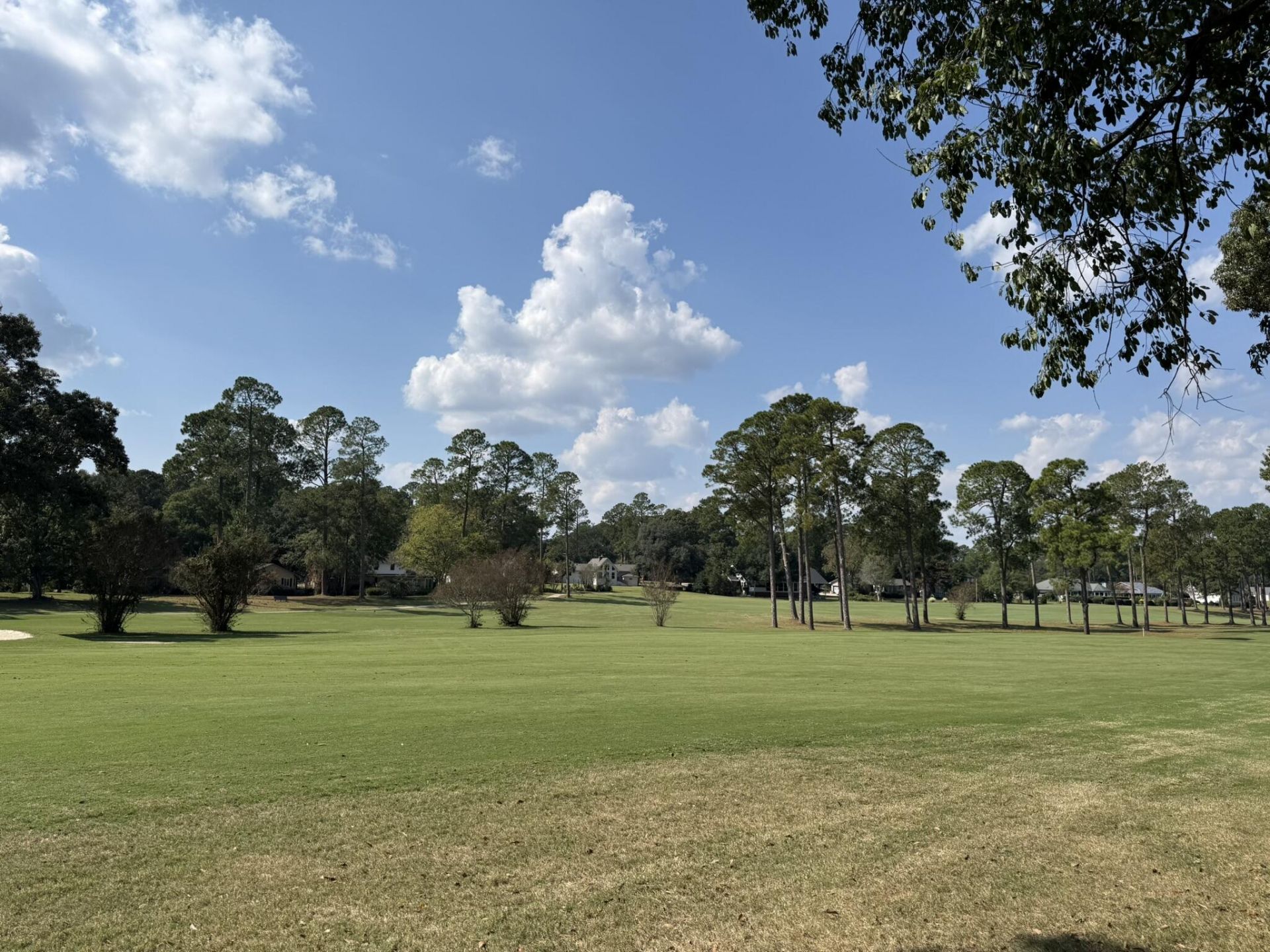 126 Cooper Drive Photo 32