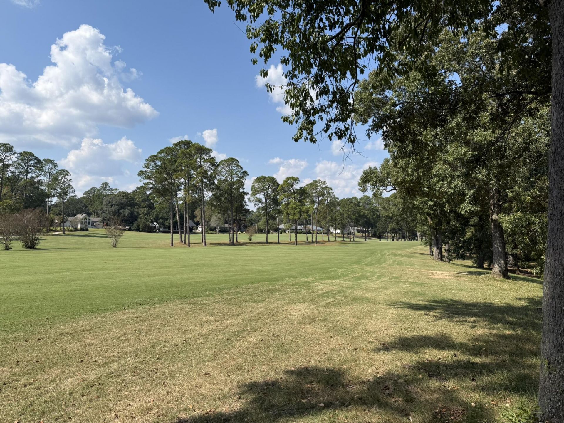 126 Cooper Drive Photo 33
