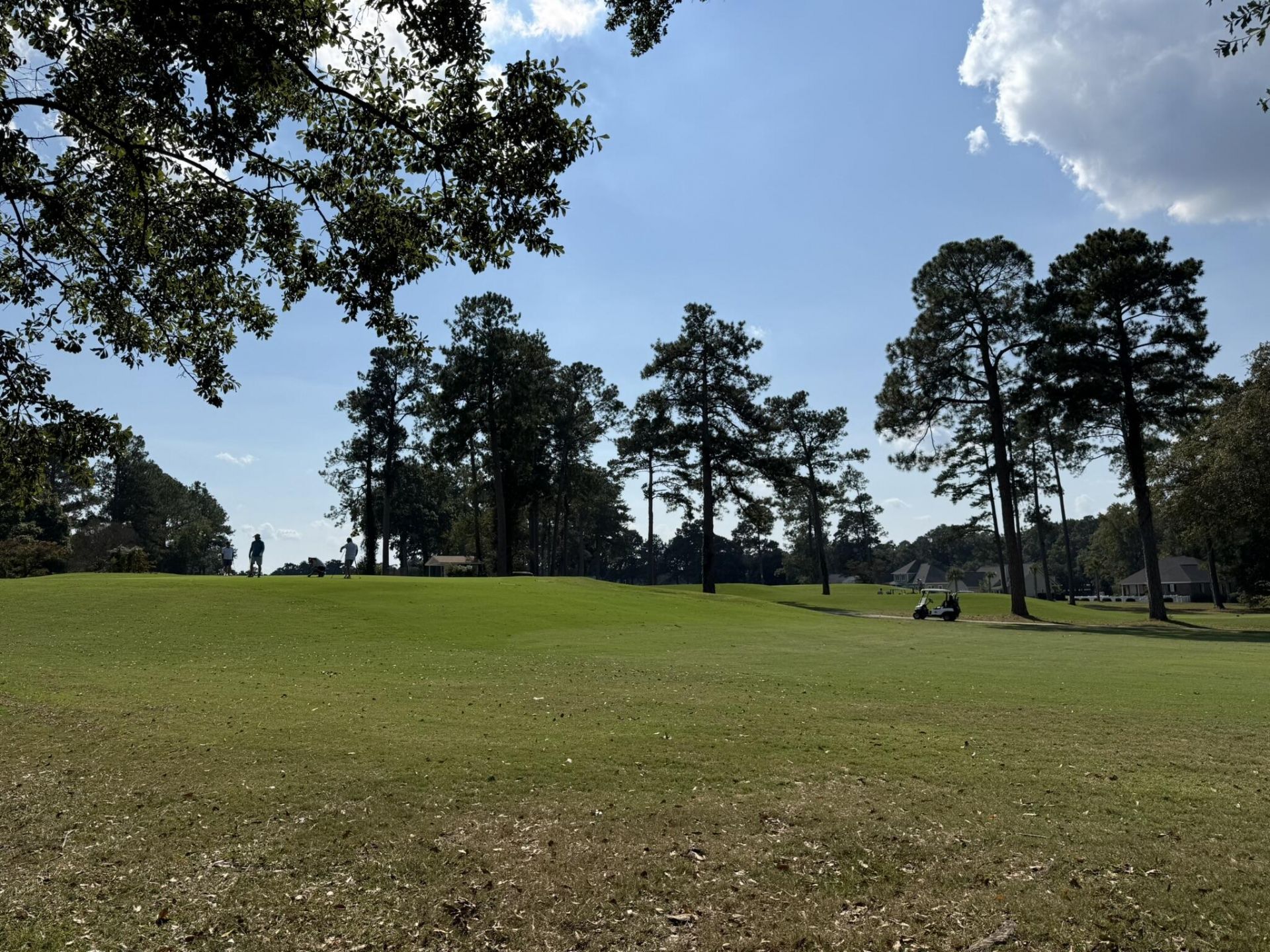 126 Cooper Drive Photo 38