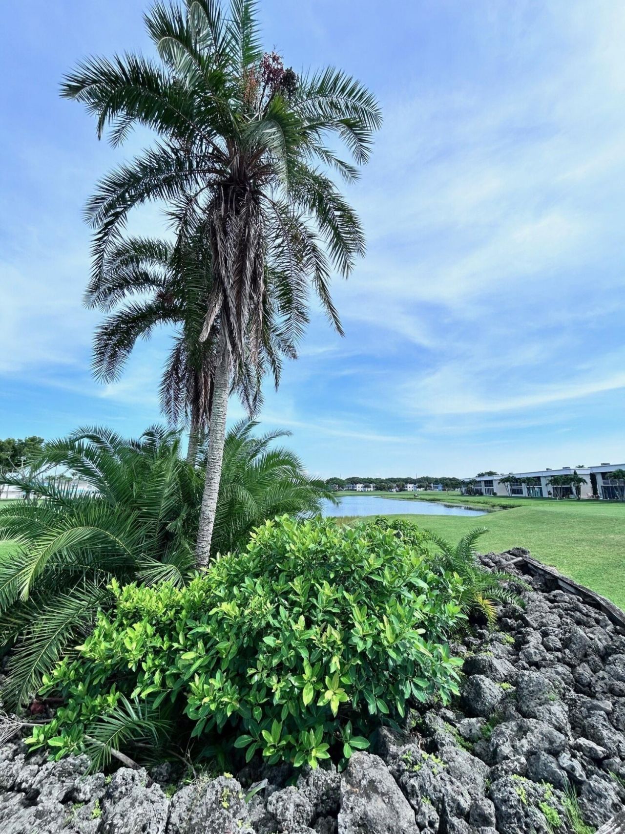 323 Flanders G Drive, Delray Beach, FL 33484 Photo