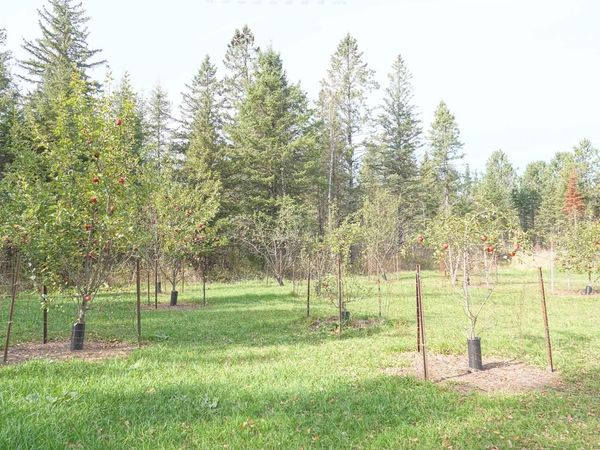 W10534 COUNTY ROAD D, Westboro, WI 54490
