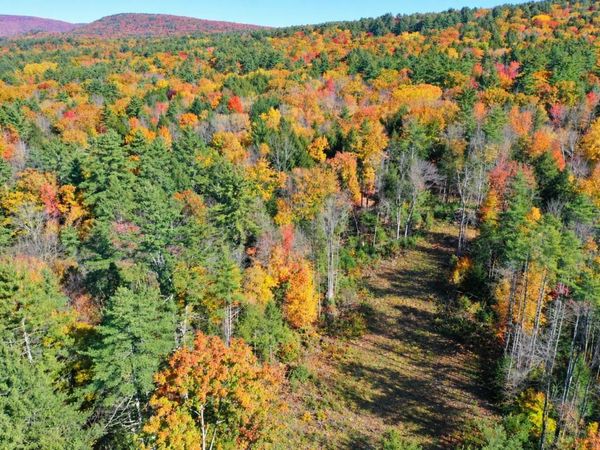 Map 7 Lot 4-1 Avery Hill Road, Alton, NH 03809