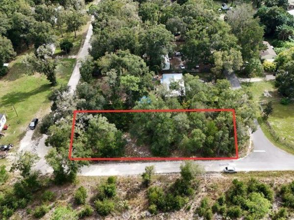 0 Wesley Avenue, Bell, FL 32619