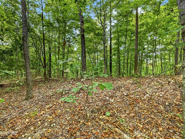 Lot 28 & 29 Timber Ridge Lane , Celina, TN 38551
