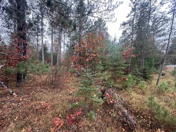 TROUT HAVEN ROAD, Dunbar, WI 54119