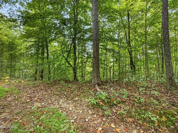 Lot 30&31 Timber Ridge Lane , Celina, TN 38551