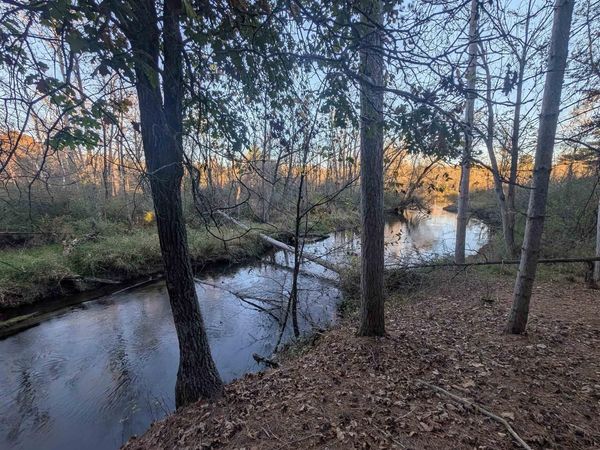 PINE STREET, Pine River, WI 54965