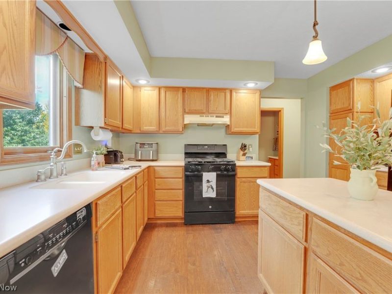 6800 Georgetown Drive, Mentor, OH 44060 Photo 13