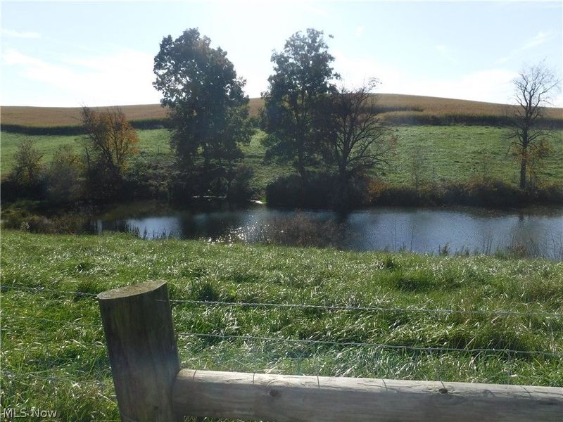 17871 County Road 436, Dresden, OH 43821 Photo 7