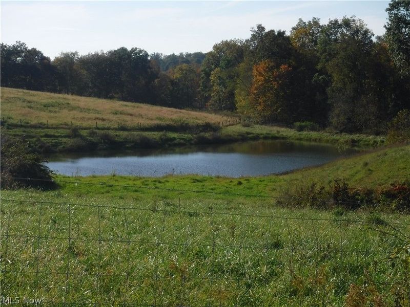 17871 County Road 436, Dresden, OH 43821 Photo 8