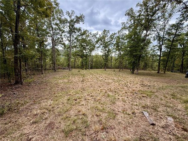 TBD Madison 3370 , Witter, AR 72776