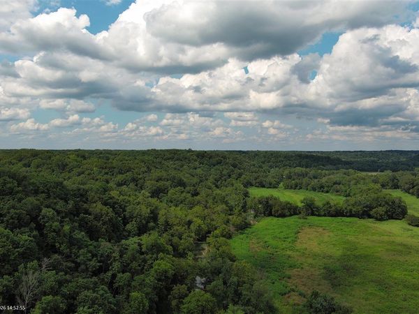 702 Dock Lonas Road , Scottsville, KY 42164