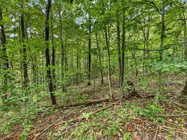 Lot 25 & 26 Timber Ridge Lane- Phase Ii, Celina, TN 38551