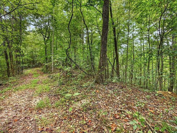 Lot 30 & 31 Timber Ridge Lane- Phase Ii, Celina, TN 38551