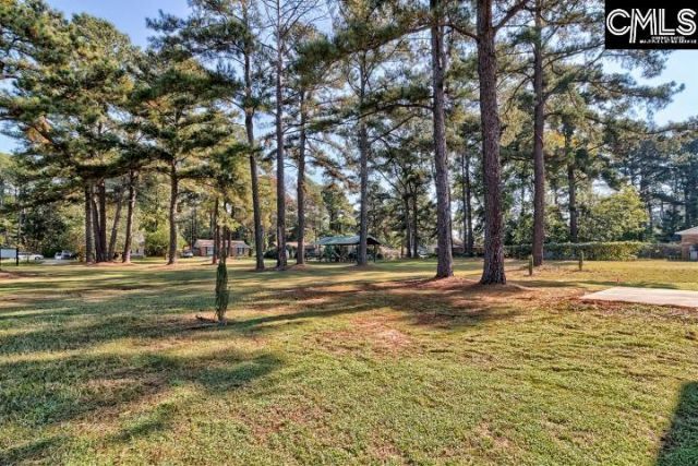 4301 Mellowood Drive  Photo 32