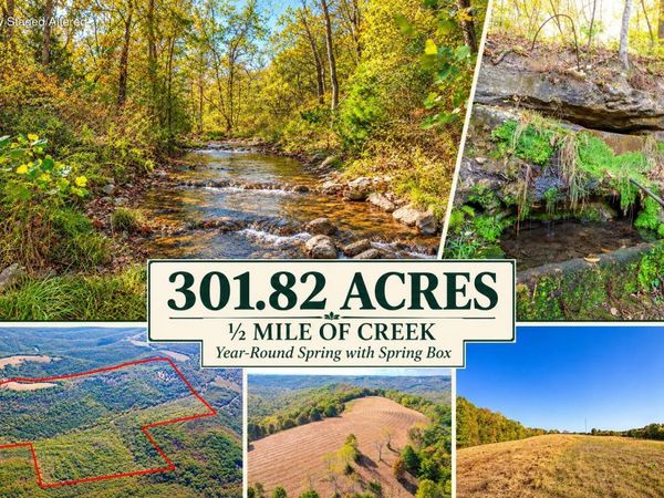 Tbd Wolf Road , Walnut Shade, MO 65771