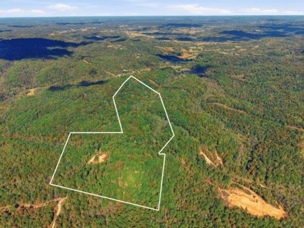 0 Baptist Branch Rd , Mount Pleasant, TN 38474