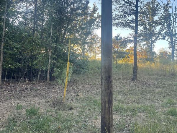 000 Pineview Road , Lexington, TN 38351