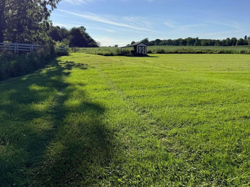 6290 County Road 20, Mount Gilead, OH 43338 Photo 13