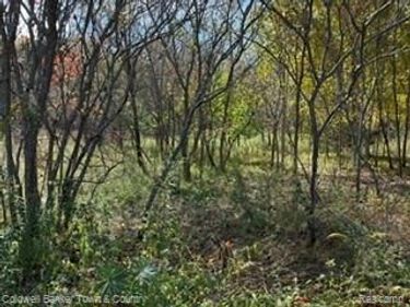 VL Cedar Road , Handy Township, Mi 48836