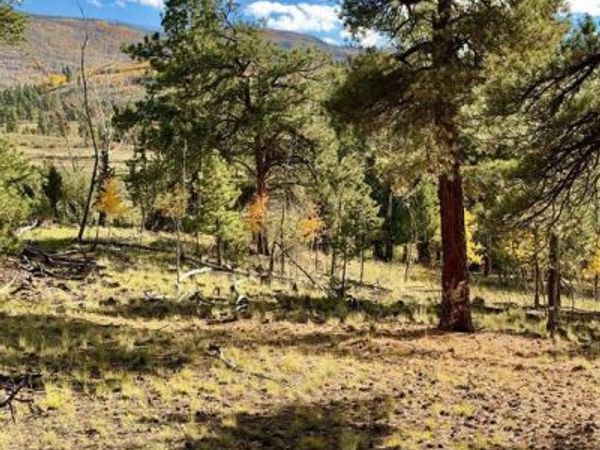 1228 Escondida Drive, South Fork, CO 81154